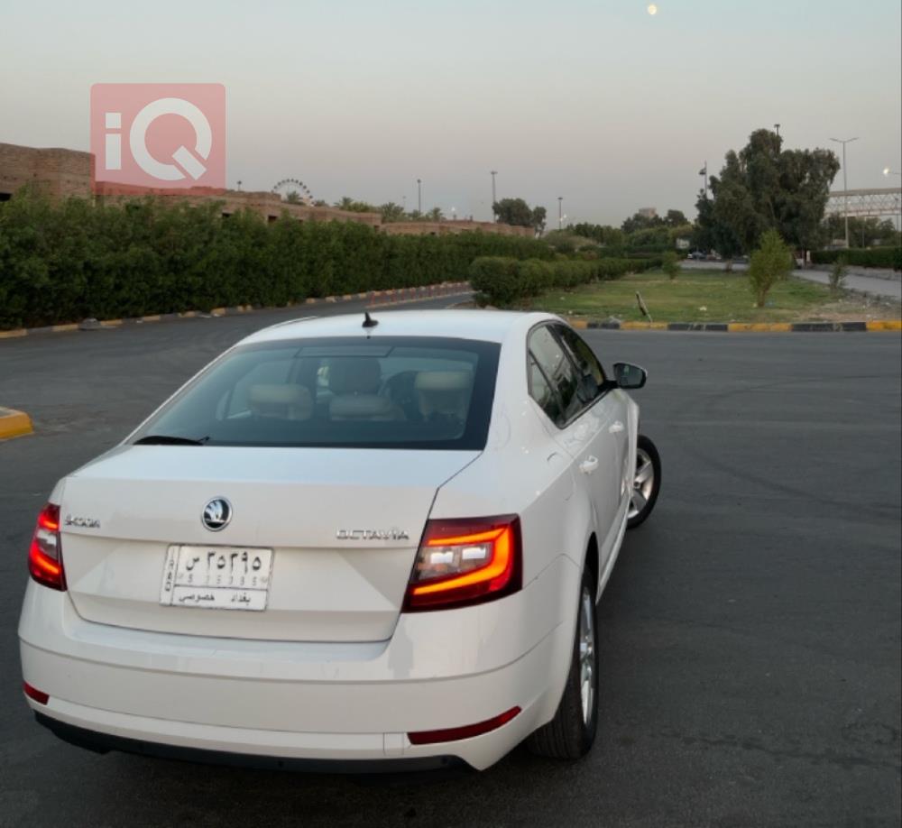 سکۆدا ئۆکتاڤیا